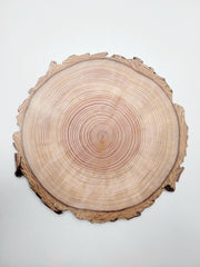 Tree Stump Circle Cake Board - 9 3/4"