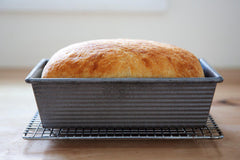 Beginner Bread Class - Basic - April 26th - 10:00 to 5:00pm